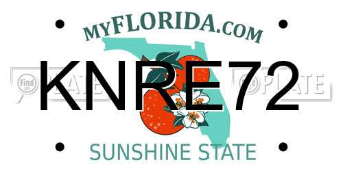 KNRE72 Florida License Plate