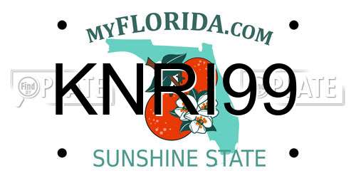 KNRI99 Florida License Plate