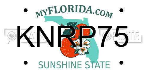 KNRP75 Florida License Plate