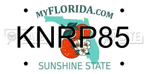 KNRP85 Florida License Plate