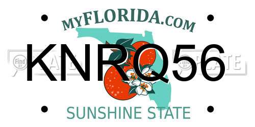 KNRQ56 Florida License Plate