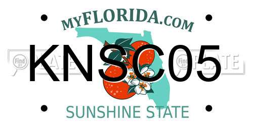 KNSC05 Florida License Plate