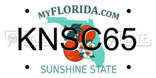KNSC65 Florida License Plate