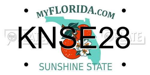 KNSE28 Florida License Plate