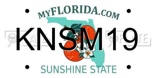 KNSM19 Florida License Plate