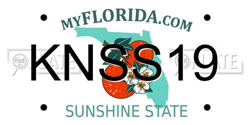 KNSS19 Florida License Plate