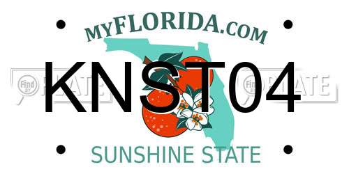 KNST04 Florida License Plate