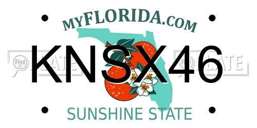 KNSX46 Florida License Plate