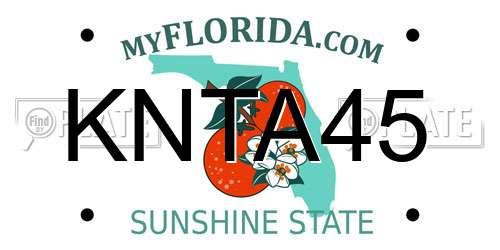 KNTA45 Florida License Plate