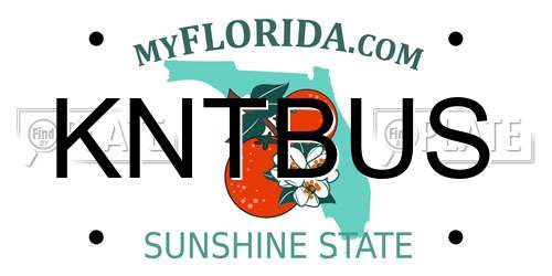 KNTBUS Florida License Plate