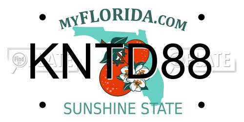 KNTD88 Florida License Plate