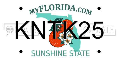 KNTK25 Florida License Plate