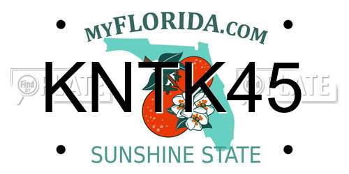 KNTK45 Florida License Plate