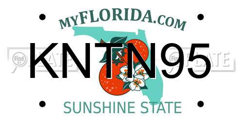 KNTN95 Florida License Plate
