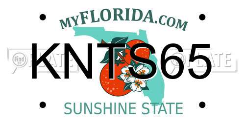 KNTS65 Florida License Plate