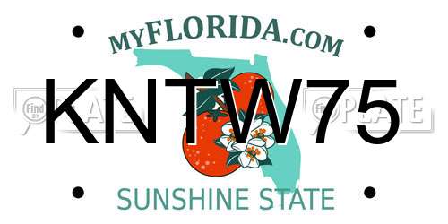KNTW75 Florida License Plate