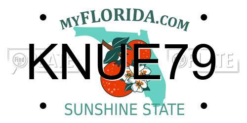KNUE79 Florida License Plate