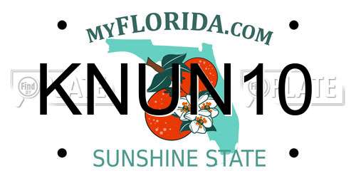 KNUN10 Florida License Plate
