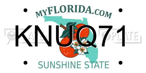 KNUQ71 Florida License Plate
