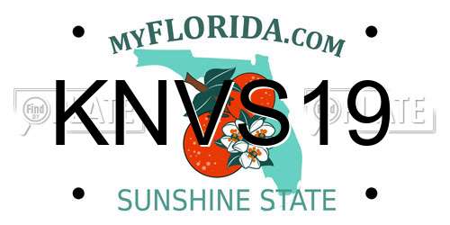 KNVS19 Florida License Plate