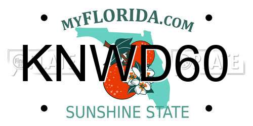 KNWD60 Florida License Plate
