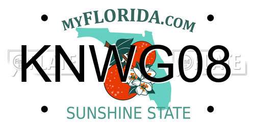 KNWG08 Florida License Plate