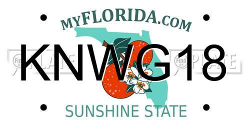 KNWG18 Florida License Plate