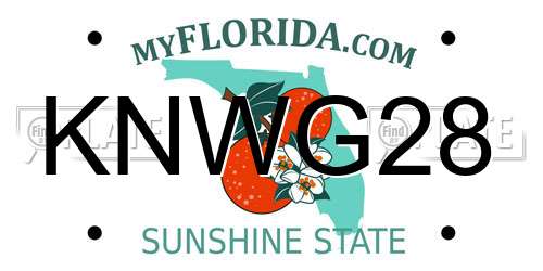 KNWG28 Florida License Plate