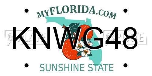 KNWG48 Florida License Plate