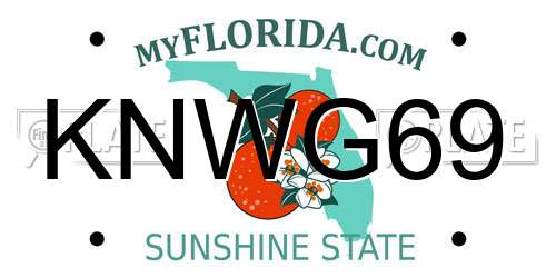 KNWG69 Florida License Plate
