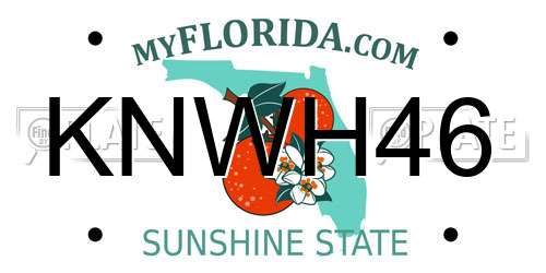 KNWH46 Florida License Plate