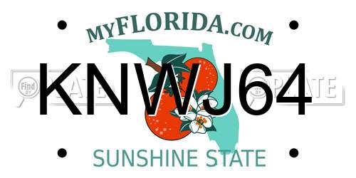 KNWJ64 Florida License Plate