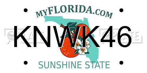 KNWK46 Florida License Plate
