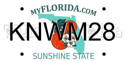 KNWM28 Florida License Plate