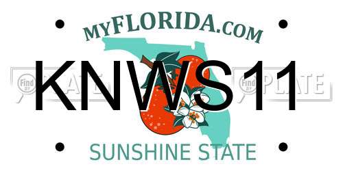 KNWS11 Florida License Plate