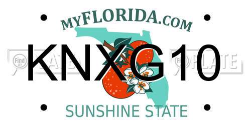 KNXG10 Florida License Plate