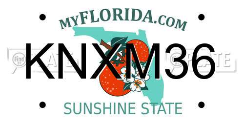 KNXM36 Florida License Plate
