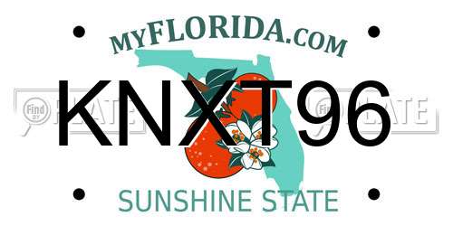 KNXT96 Florida License Plate
