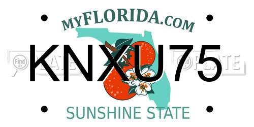 KNXU75 Florida License Plate