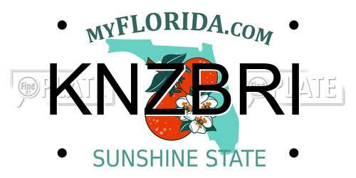 KNZBRI Florida License Plate