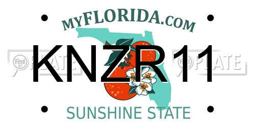 KNZR11 Florida License Plate
