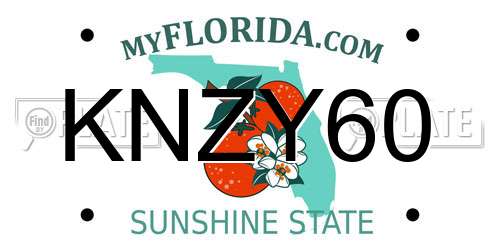 KNZY60 Florida License Plate