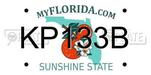 KP133B Florida License Plate
