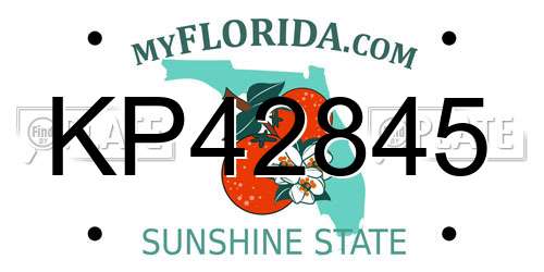 KP42845 Florida License Plate
