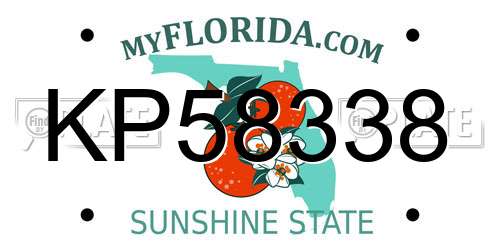 KP58338 Florida License Plate