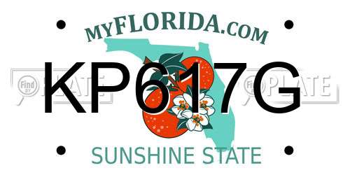KP617G Florida License Plate