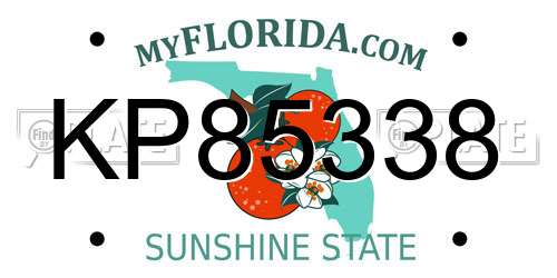 KP85338 Florida License Plate