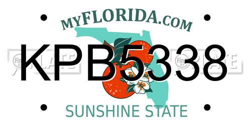 KPB5338 Florida License Plate