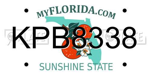 KPB8338 Florida License Plate