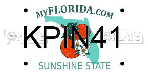 KPIN41 Florida License Plate